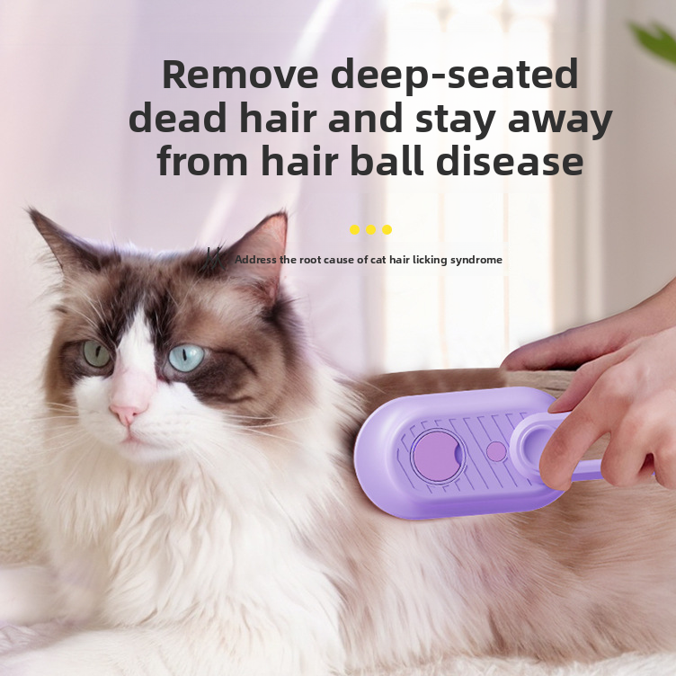 SteamGlow Groomer