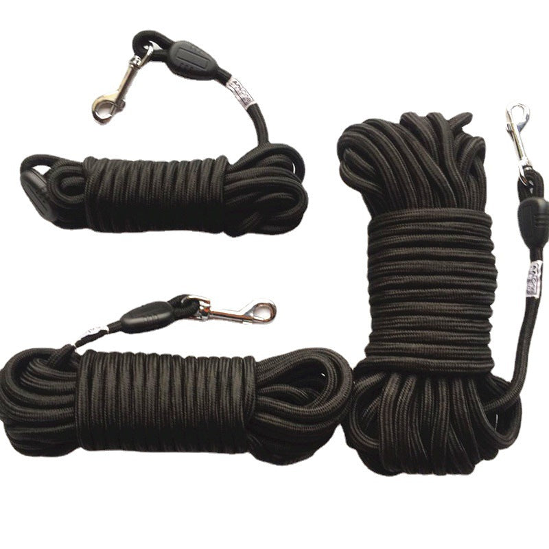 Pet training leash