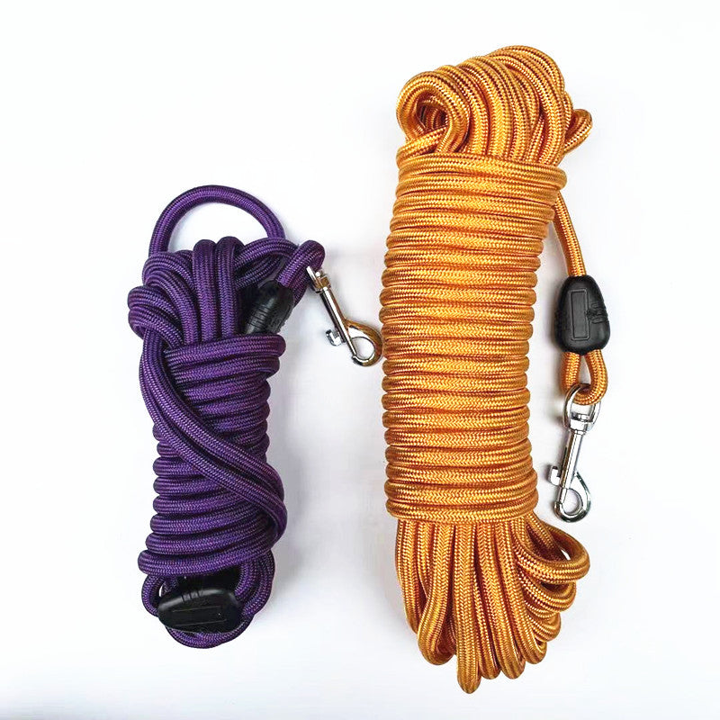 Pet training leash