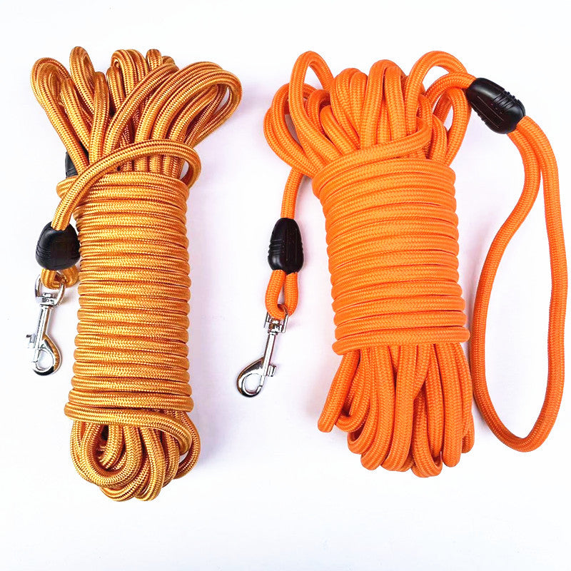 Pet training leash