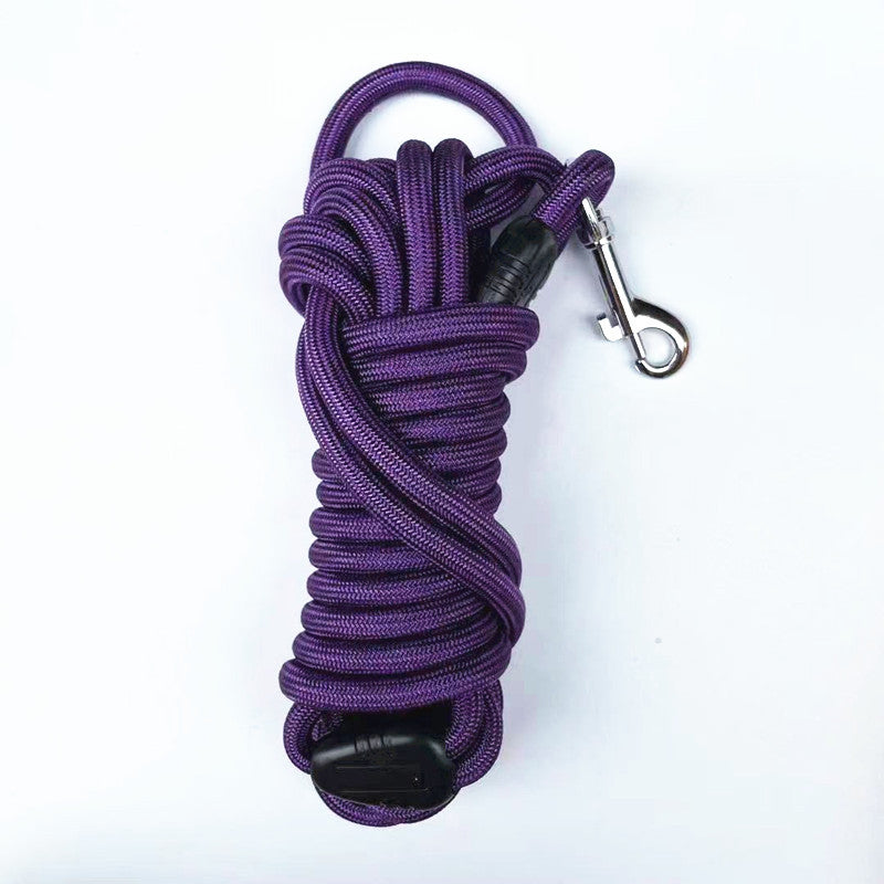 Pet training leash