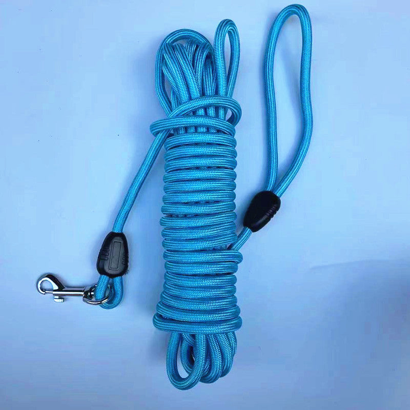 Pet training leash