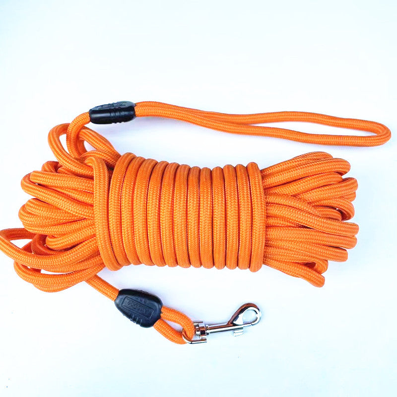 Pet training leash