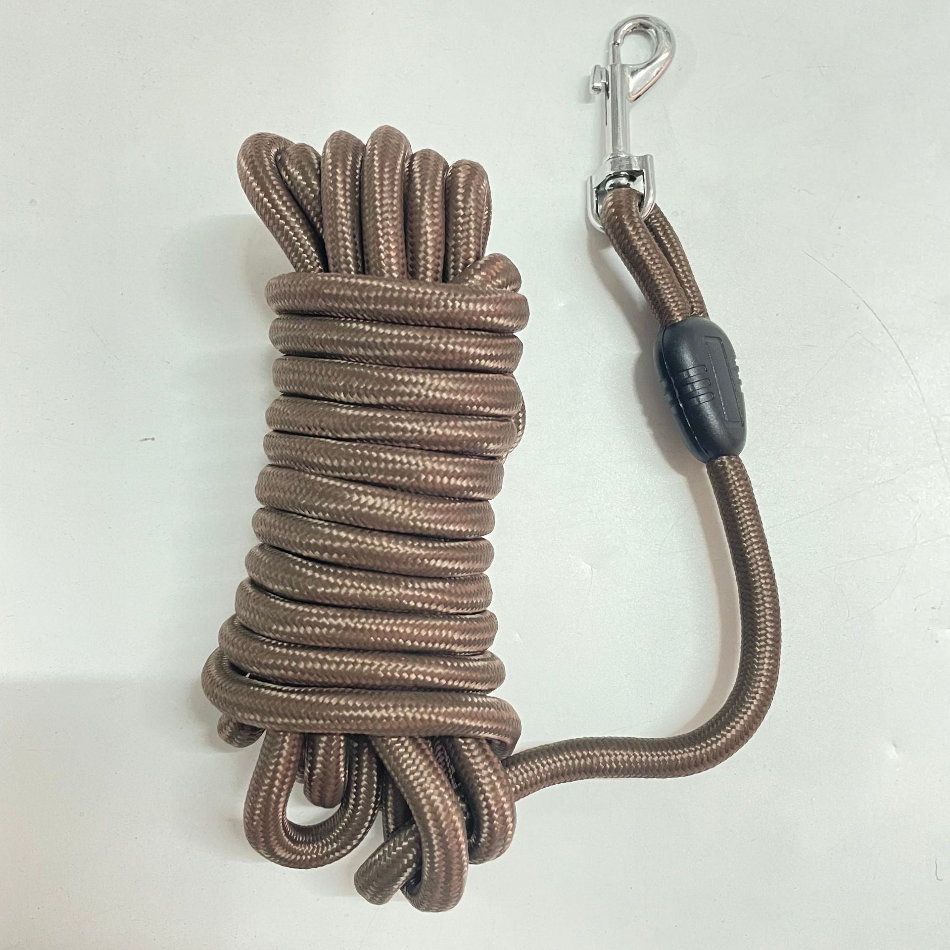 Pet training leash