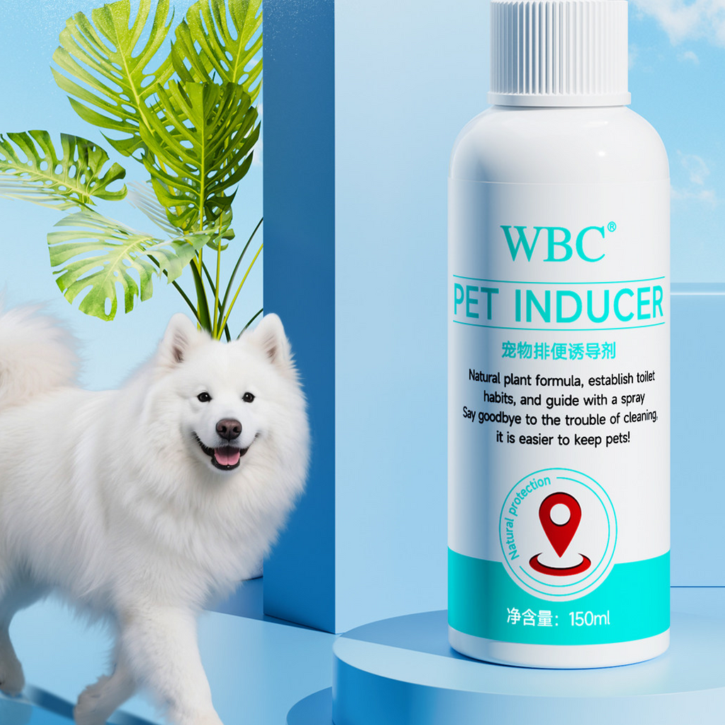 Pet toilet training attractant
