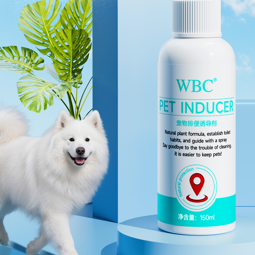 Pet toilet training attractant
