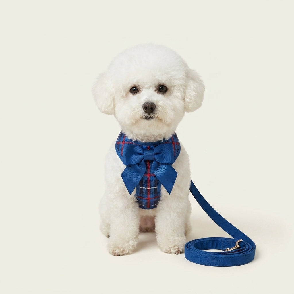 PlaidHalo Harness